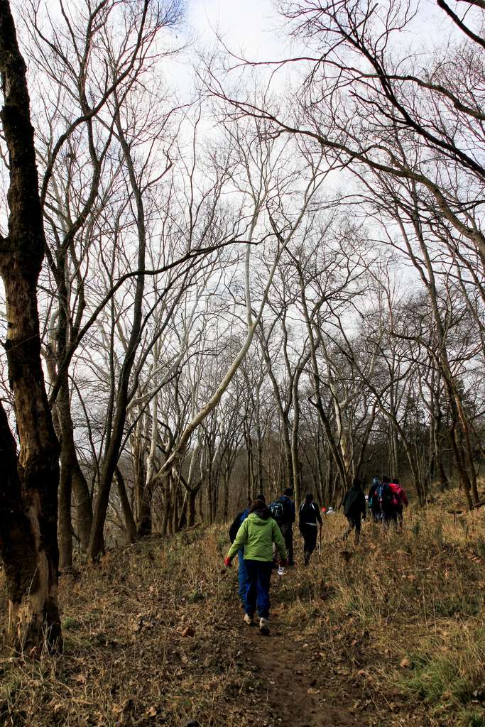 Henry Horton Campground