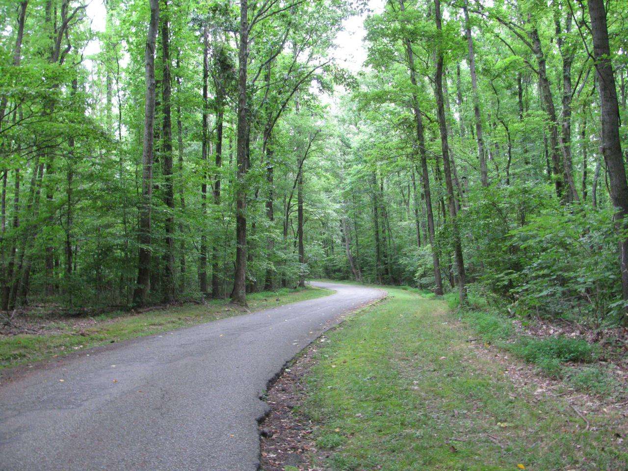 Meeman-Shelby Forest State Park