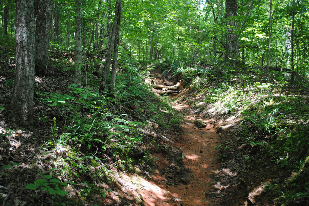 Montgomery Bell State Park