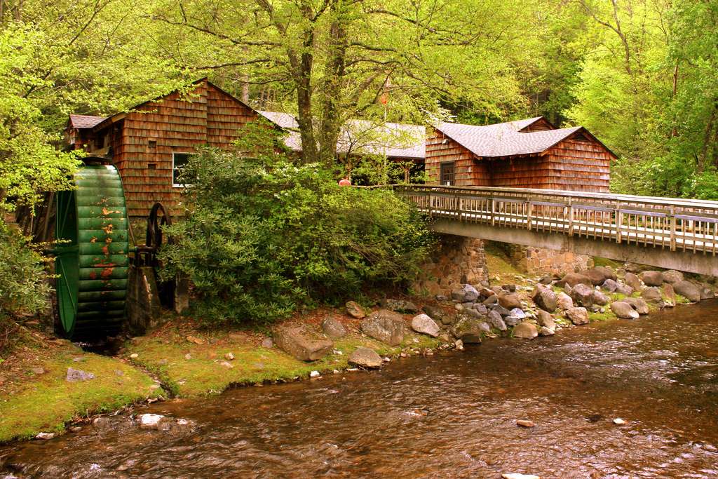 Roan Mountain State Park