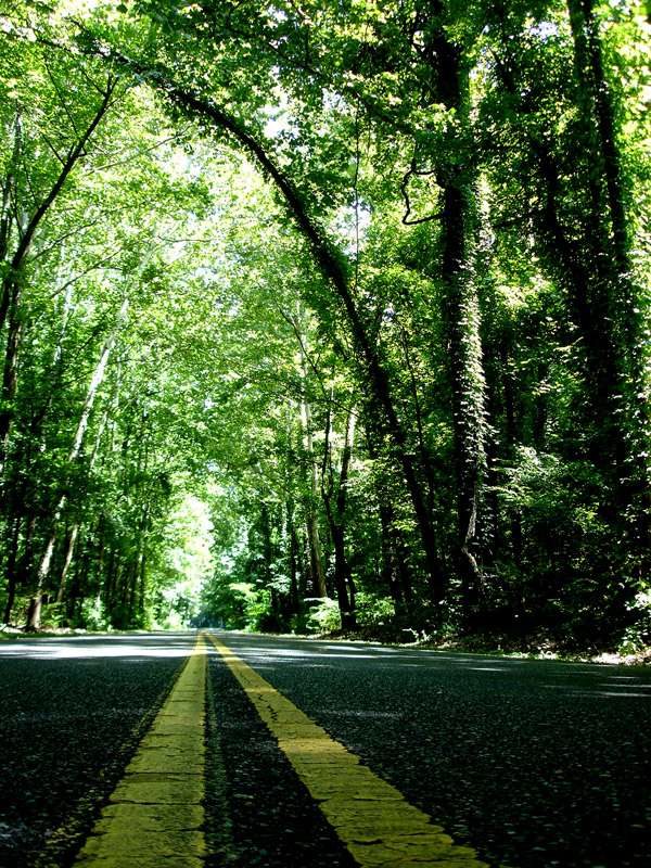 T.O. Fuller Campground