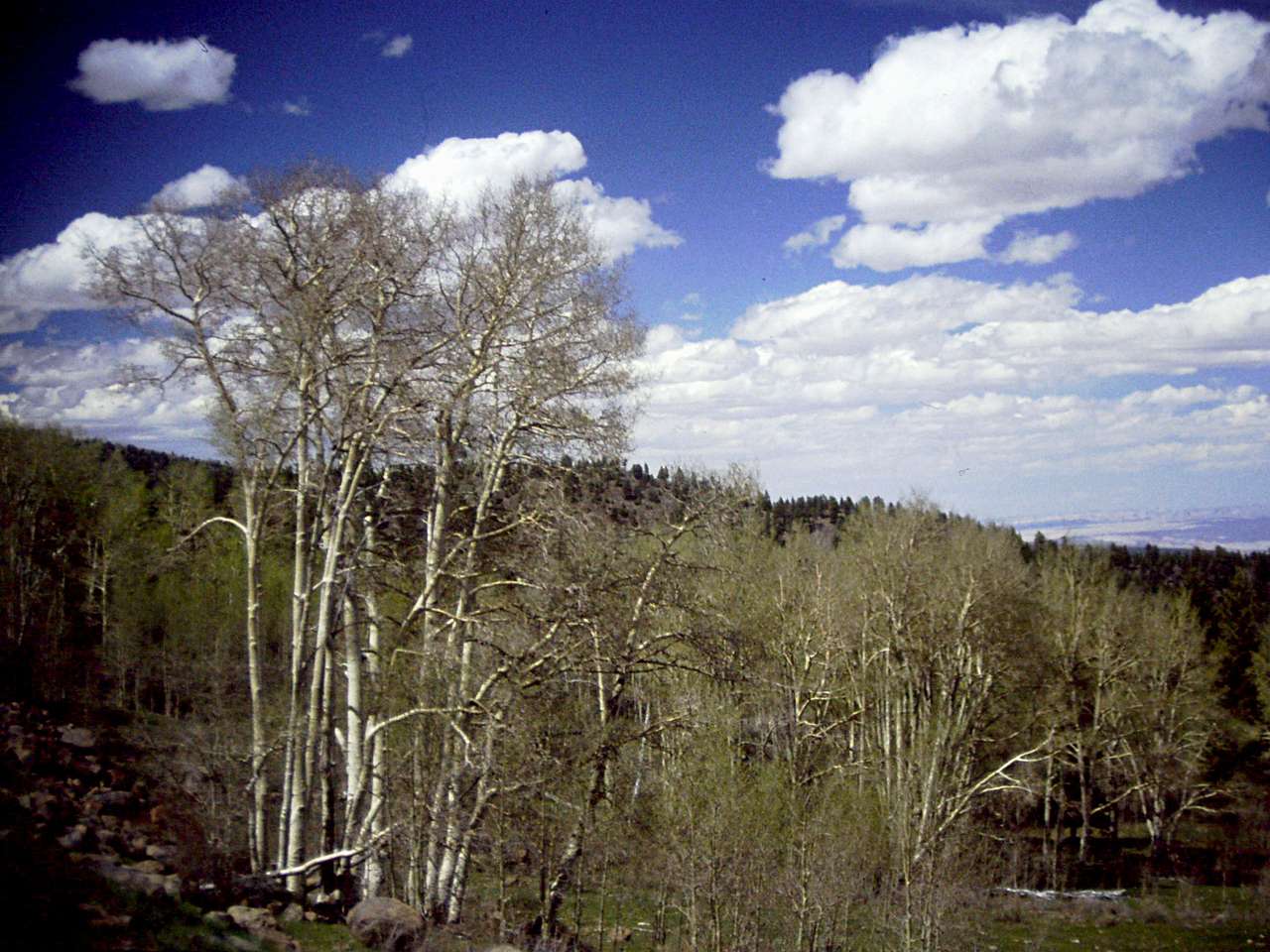 Navajo Lake Campground
