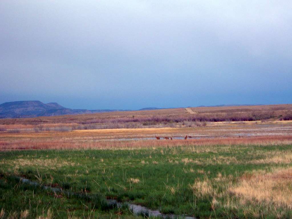 Price Field Office