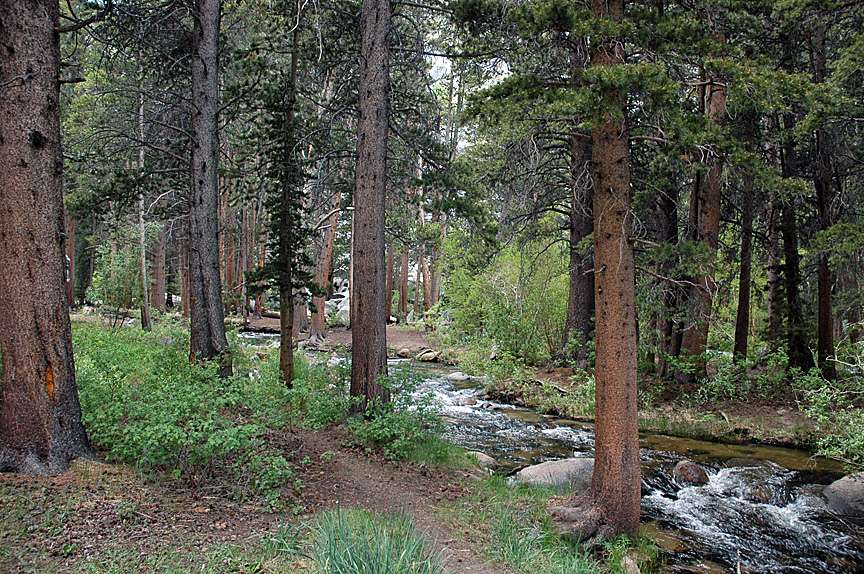 Stellar hiking through this amazing forest! 