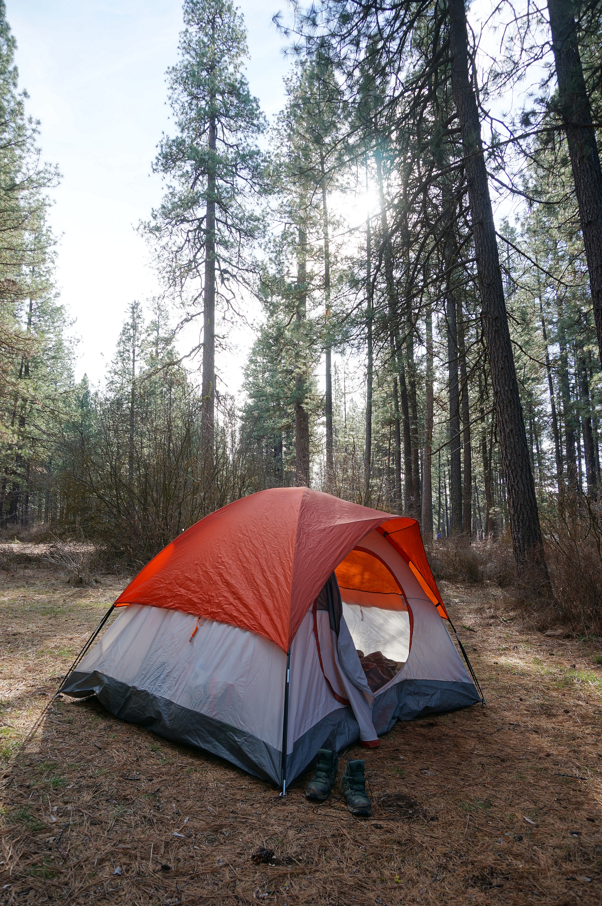 Deschutes National Forest