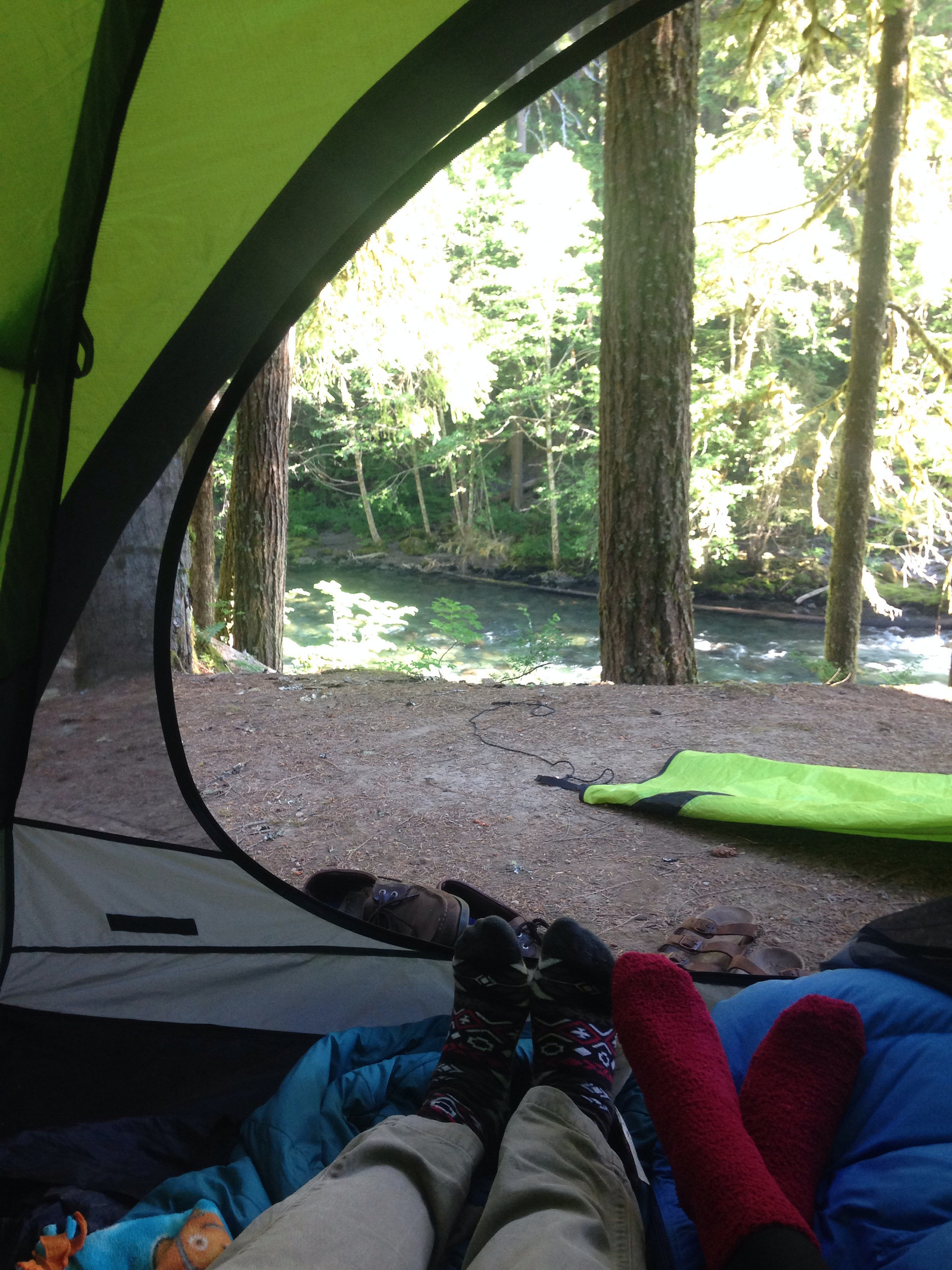 Ohanapecosh campground has some incredible sites! Ours was right along the creek, with access to walk down to it. Great morning view to wake up to! 