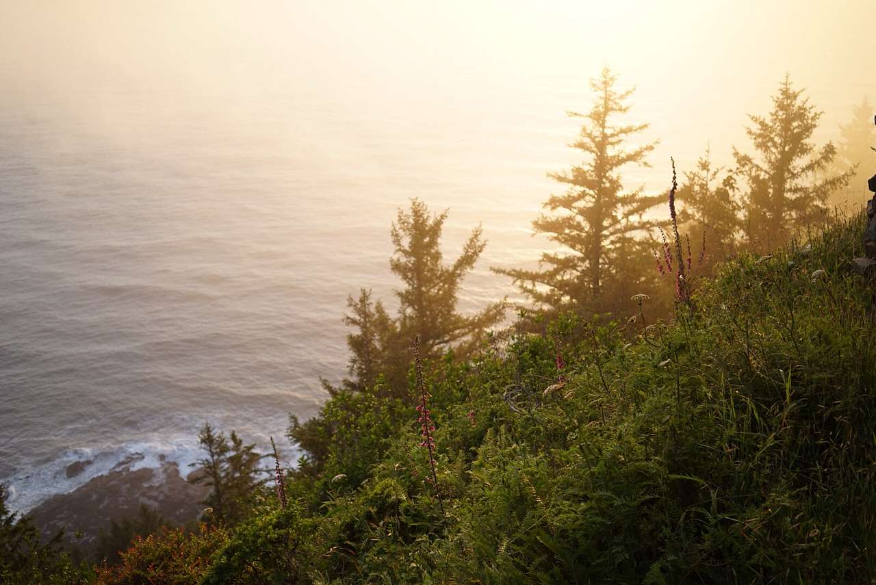 The fog shrouds the horizon is the coolest way - if you are there for sunset it all lights up gold. 