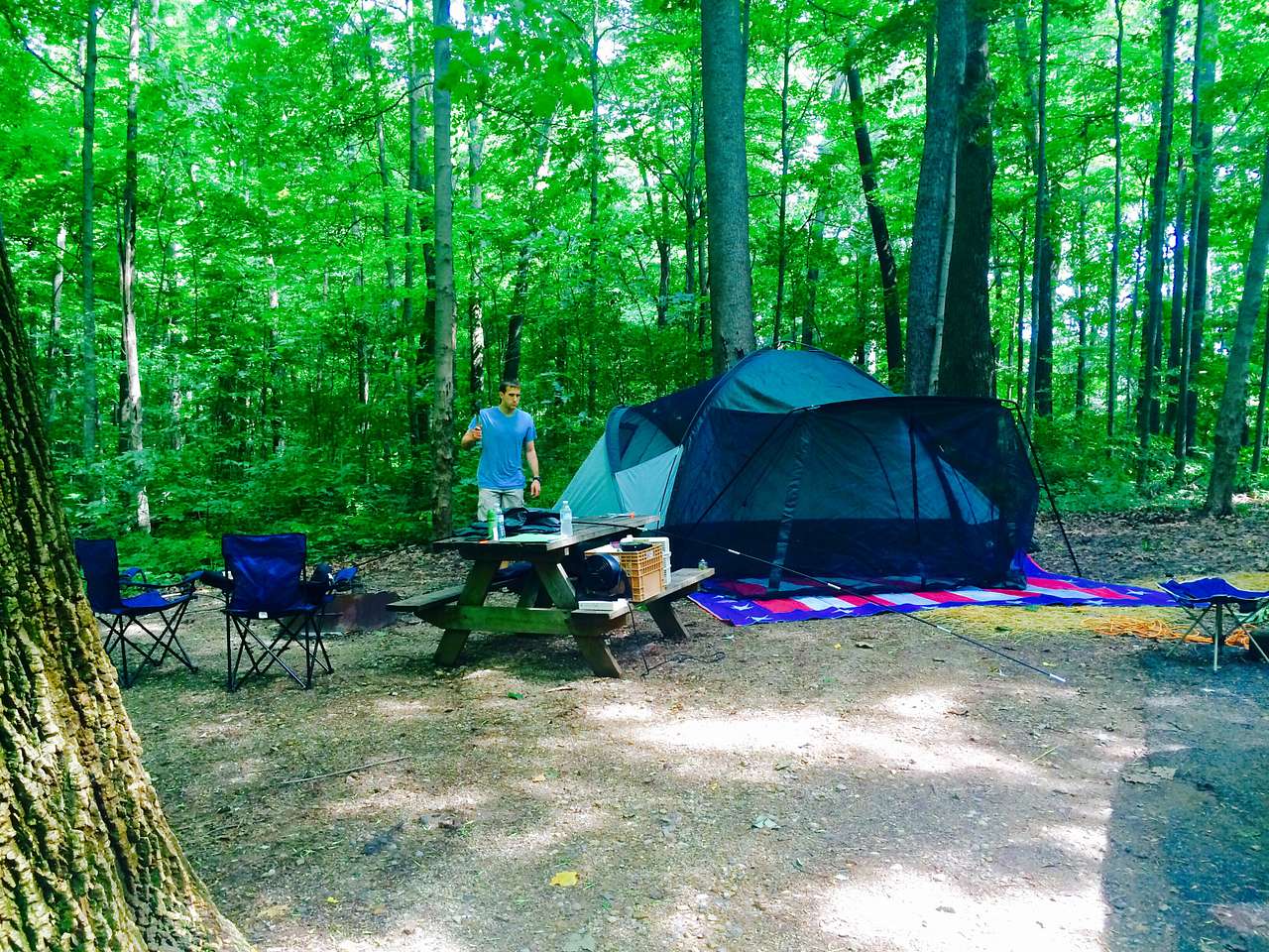 Site #202