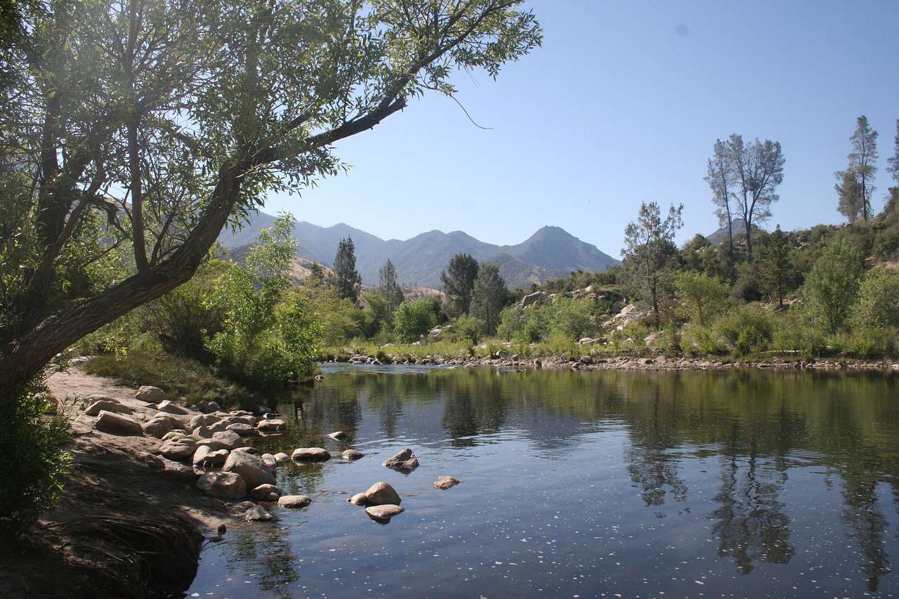 What a tranquil place for a late day picnic!