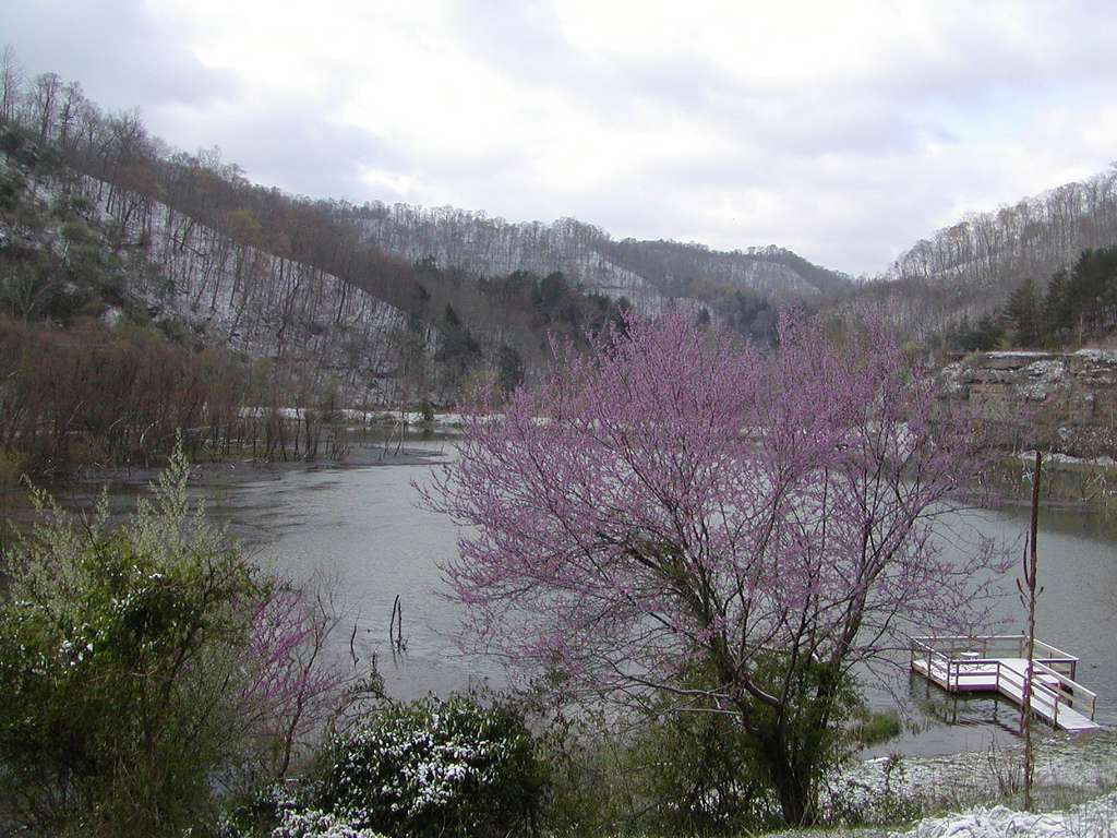 Carr Creek Campground