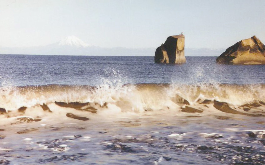 Clam Gulch Campground