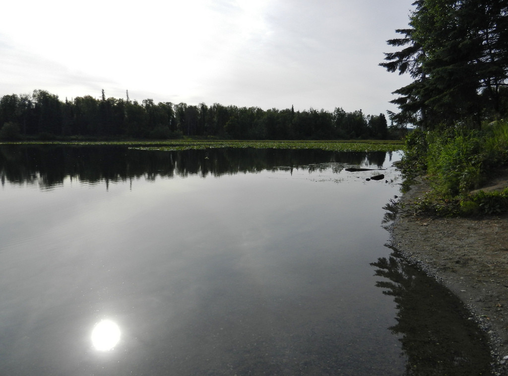 Johnson Lake Campground