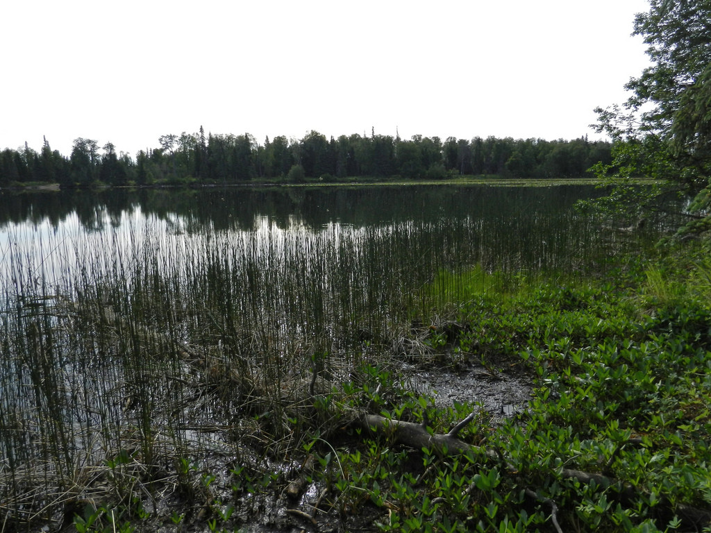Johnson Lake Campground