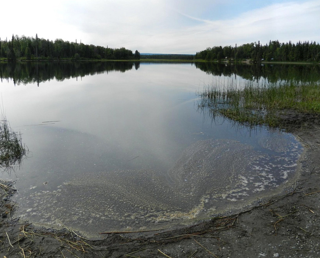 Johnson Lake Campground