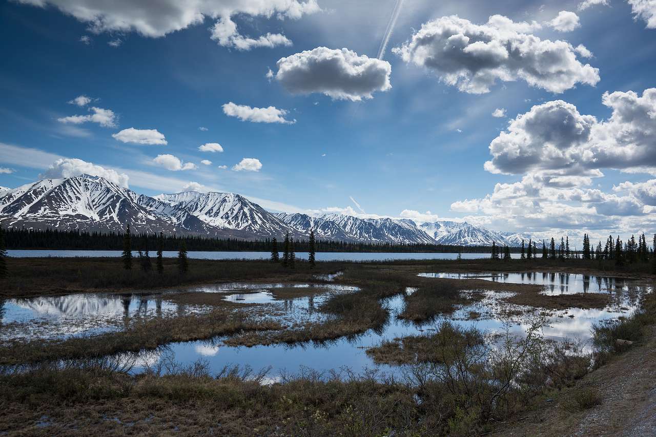 Denali State Park