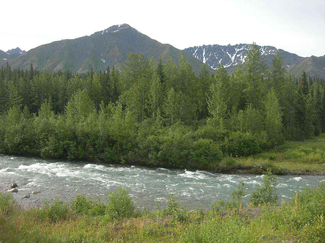 Denali View South