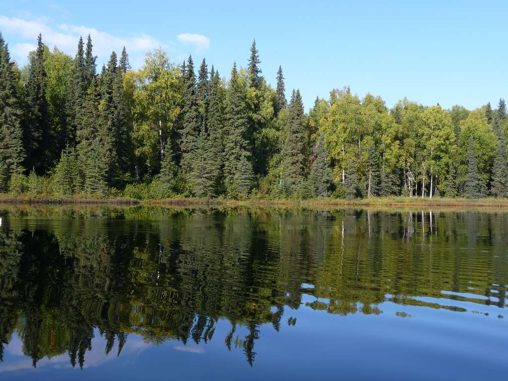Nancy Lake State Recreation Area