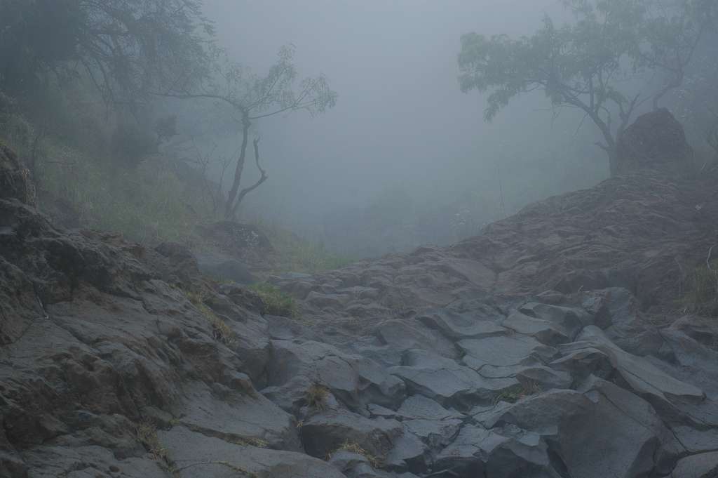 Polipoli Spring State Recreation Area