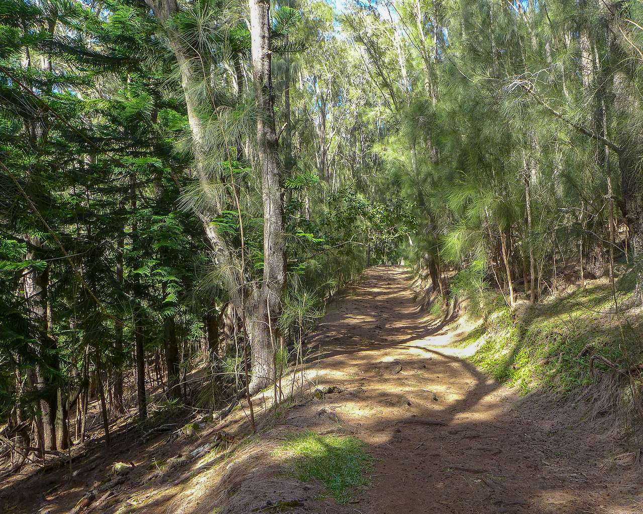Pālāʻau Campground