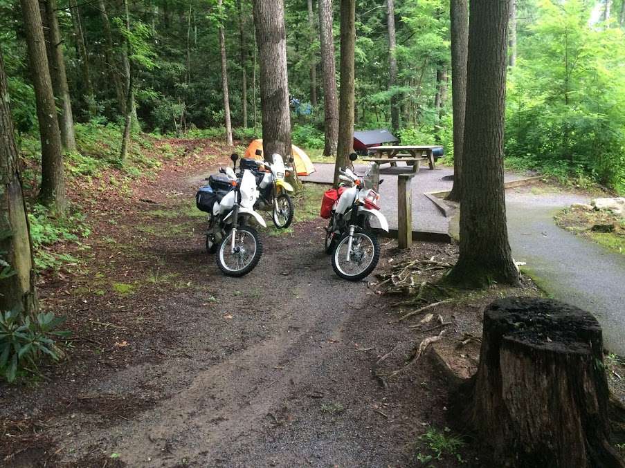 Campsite 11 at Horse Creek Recreation Area