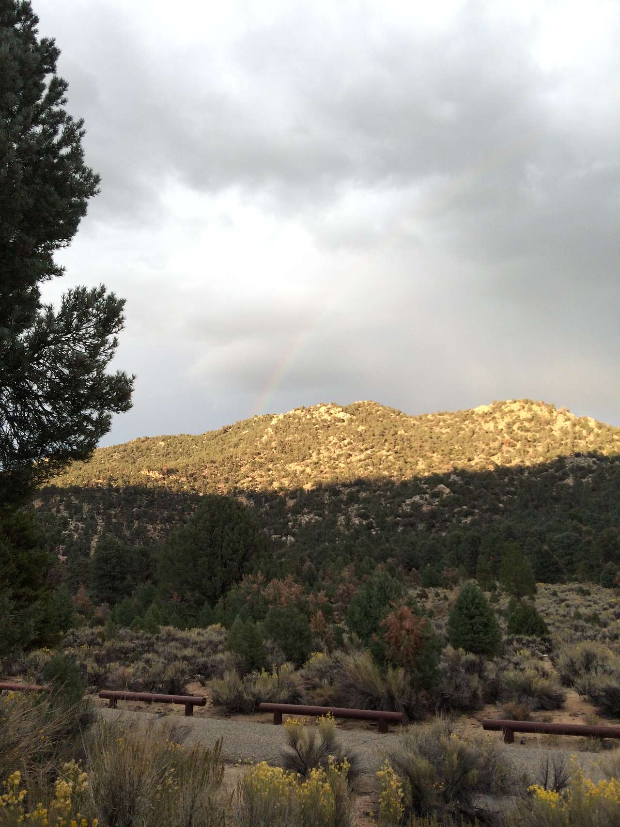 View from southwest side of campground, facing east