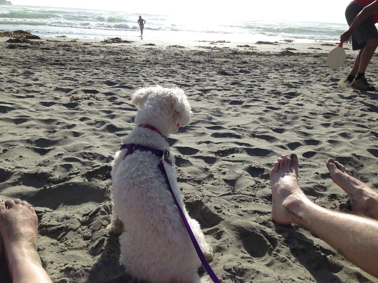 Sand Dollar Beach just down the road