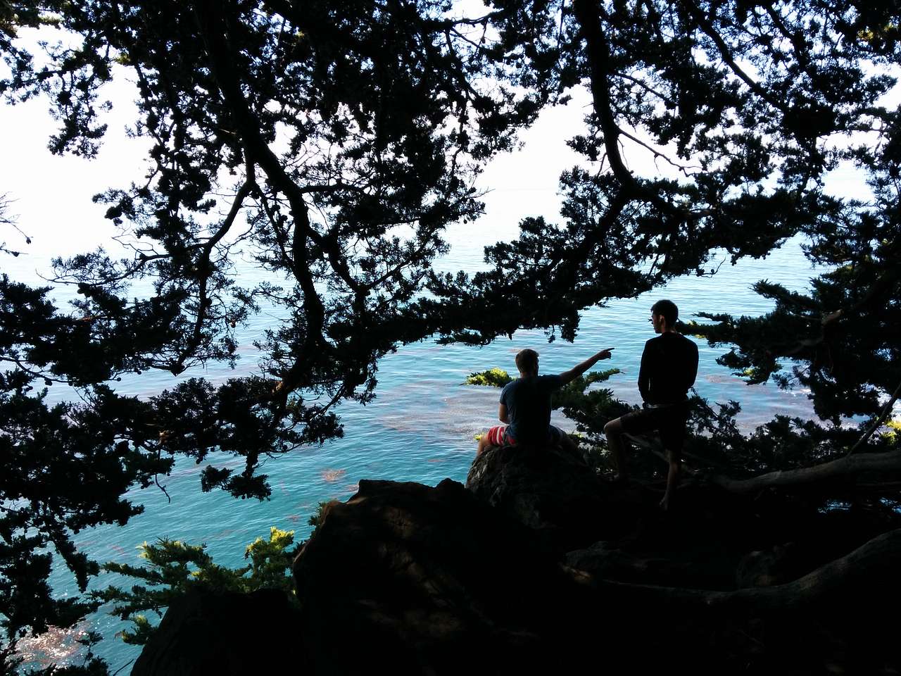 We saw whales and dolphins literally from the campground!