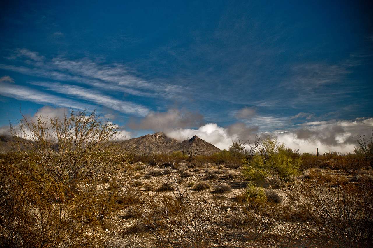 Alamo Lake Campground