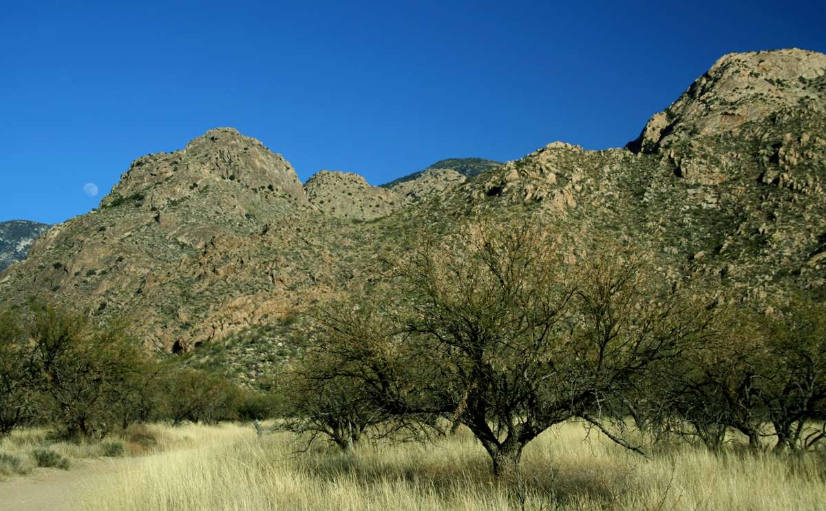 Catalina Campground