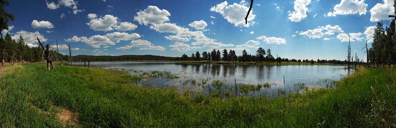 Kaibab National Forest
