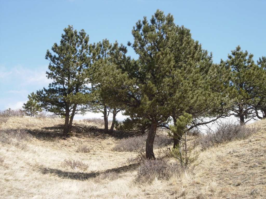 Curt Gowdy State Park