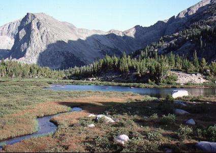 Brown Mountain Campground