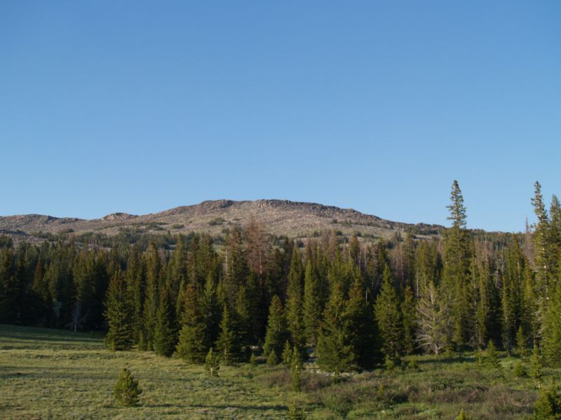 Reuter Campground