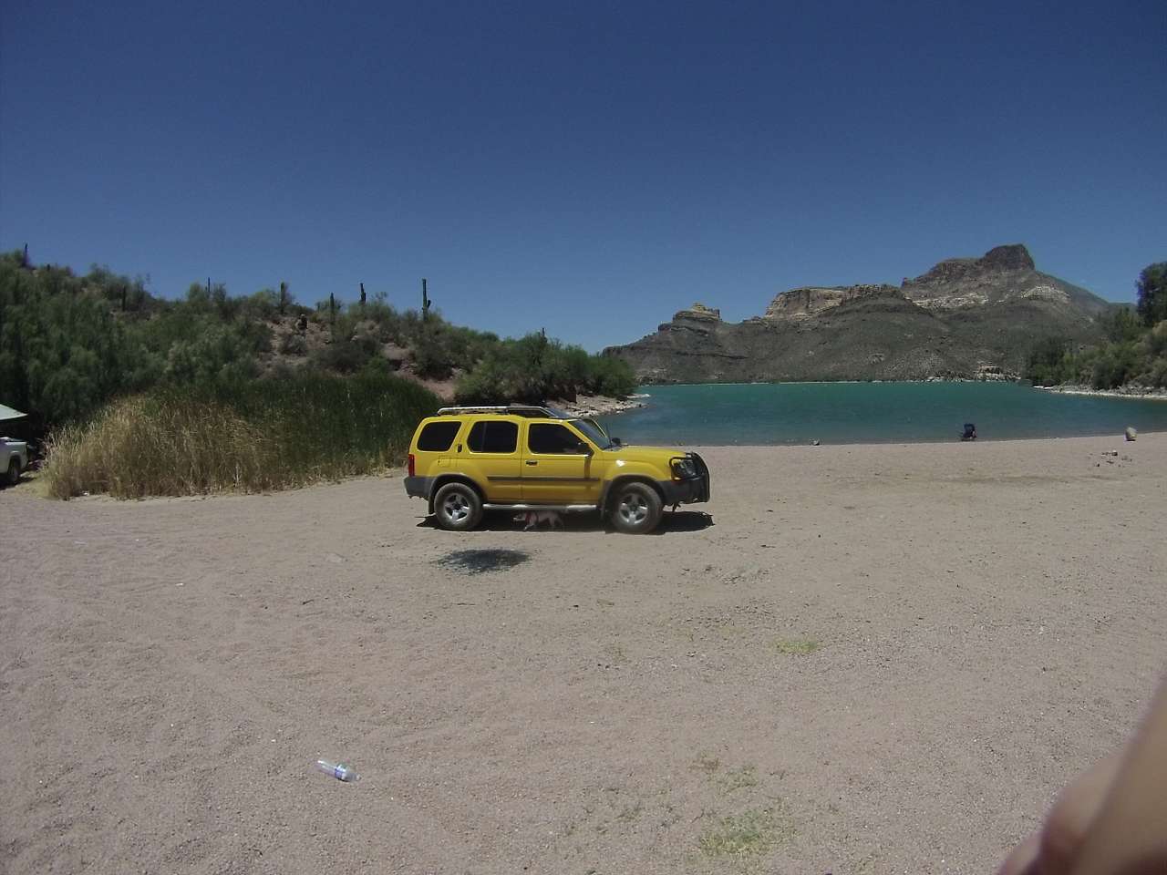 Tonto National Forest