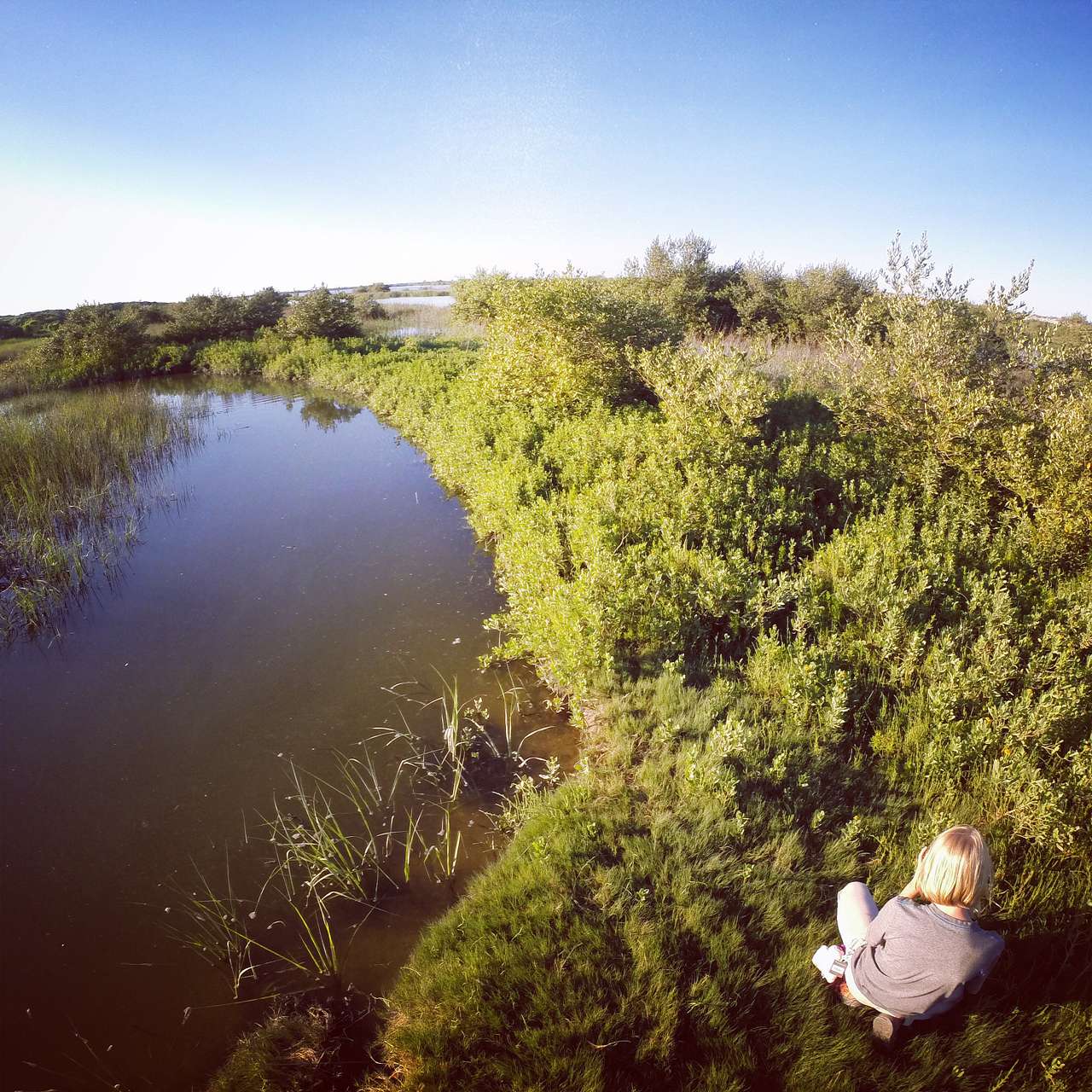 Exploring inland tidal marshes . Nice areas for paddleboarding 