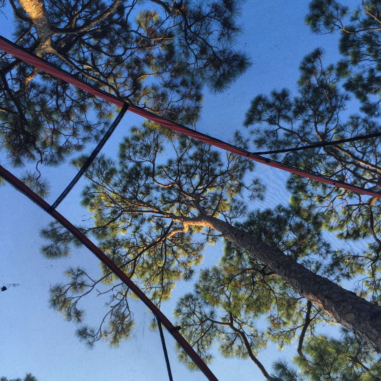 What a sight to wake up to. Most of the camping areas have a bit of shade from that hot Florida sun. 
