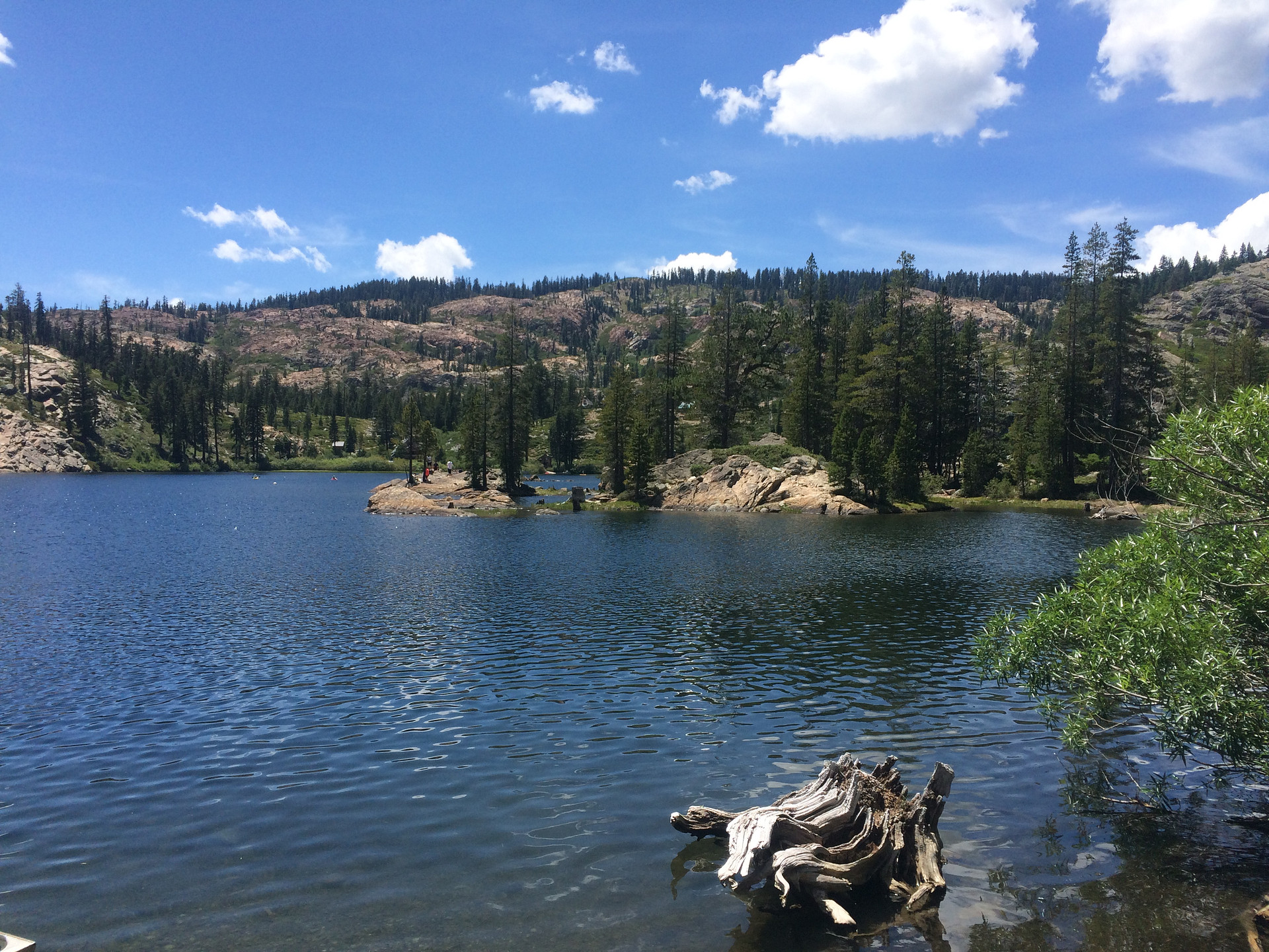 Salmon Lake. You can swim, walk, kayak out to the island and some fun rocks to jump off. 