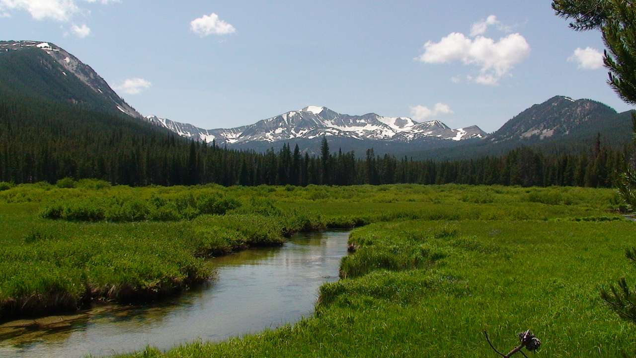West Fork Cabin (Ennis)