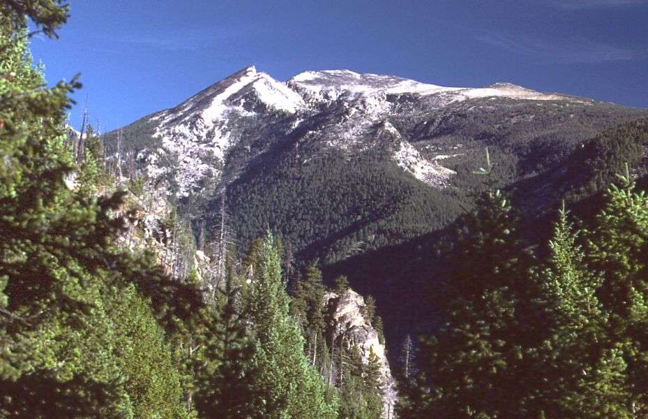 Bitterroot National Forest