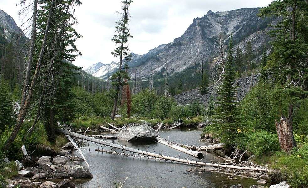 Bitterroot National Forest