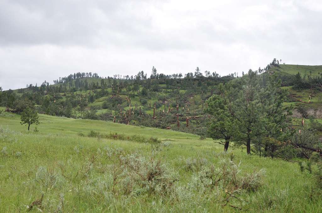 Beaver Creek Campground