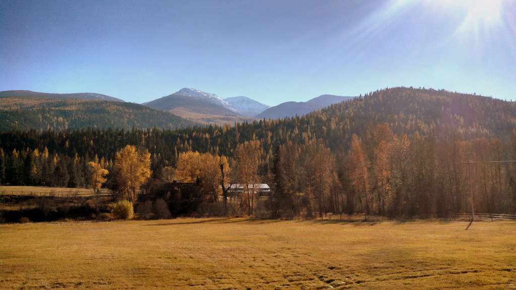 Lolo National Forest
