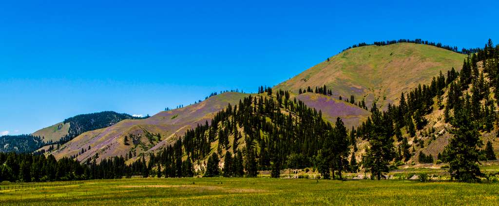 Trout Creek Campground