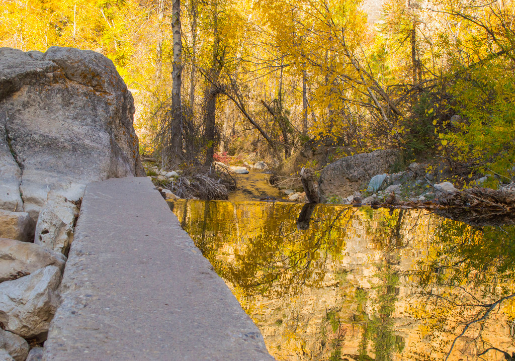 Ditch Creek Campground