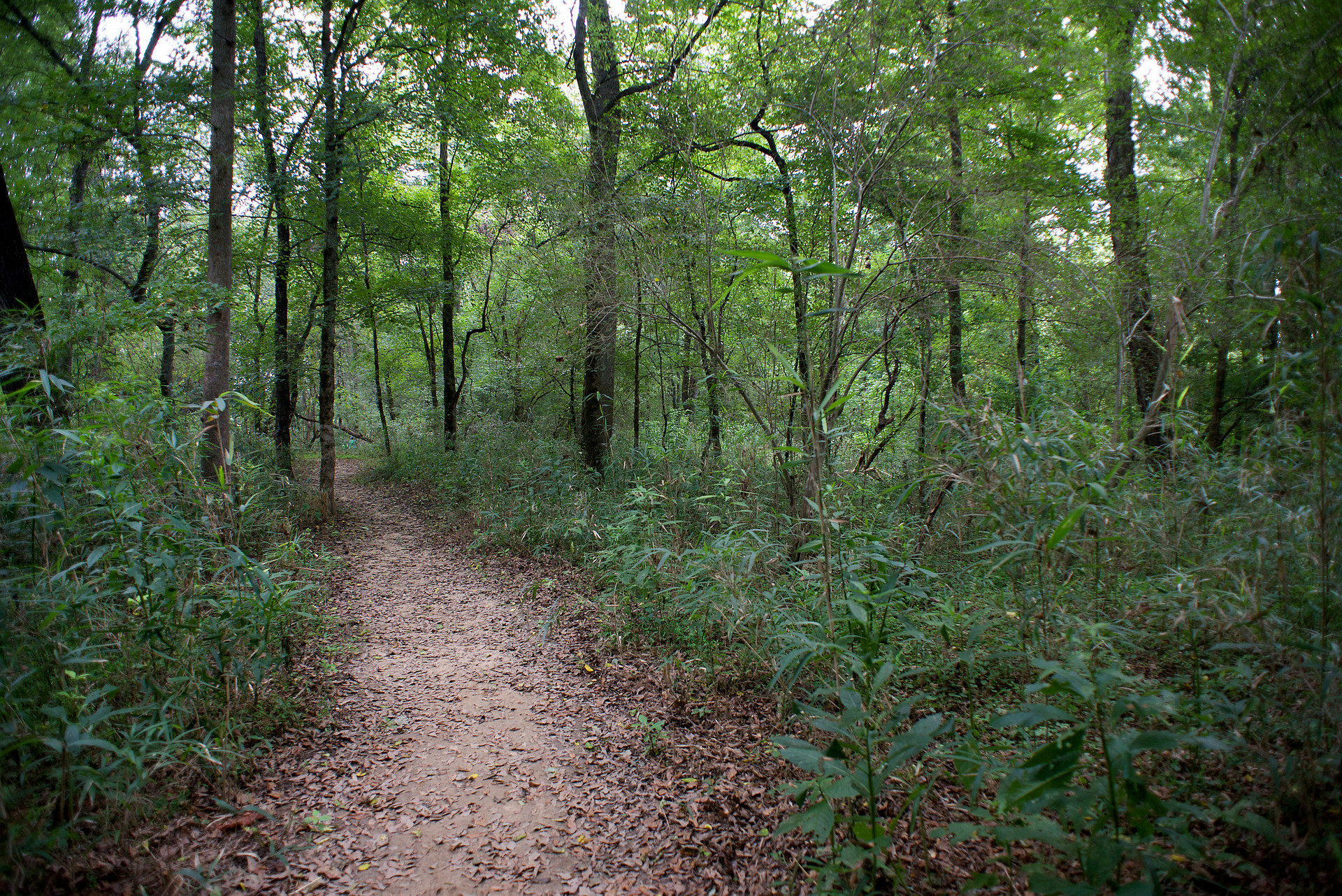 Chattahoochee Bend State Park