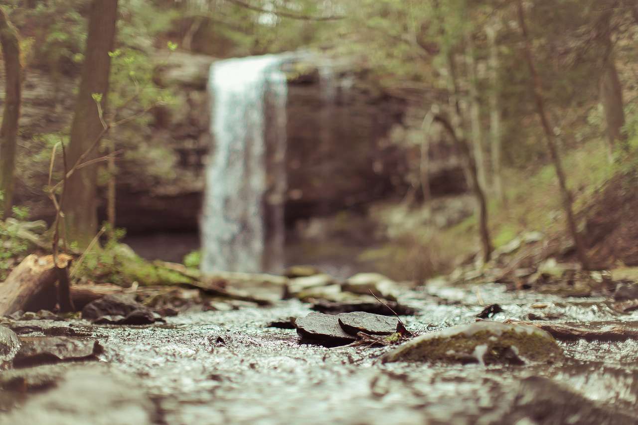 Cloudland Canyon State Park Campground