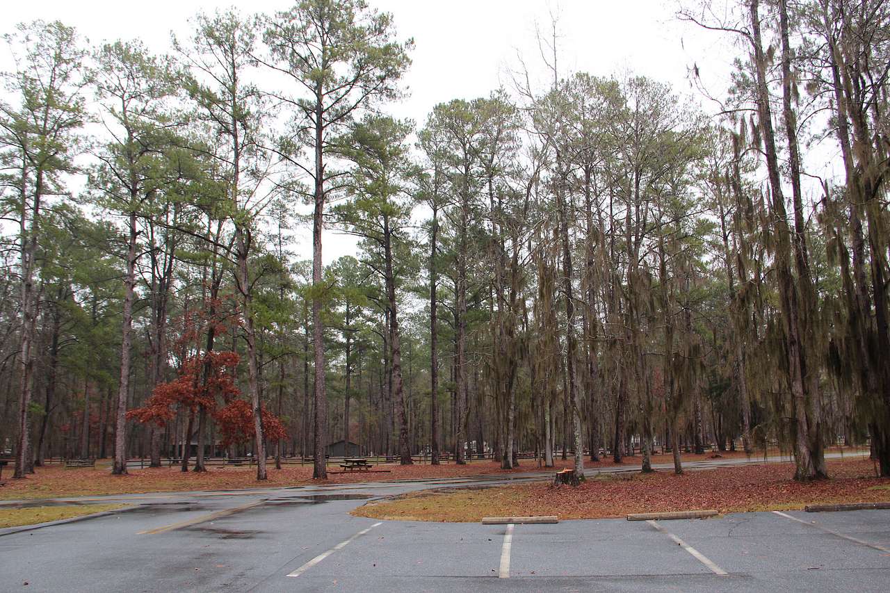 Florence Marina State Park Campground