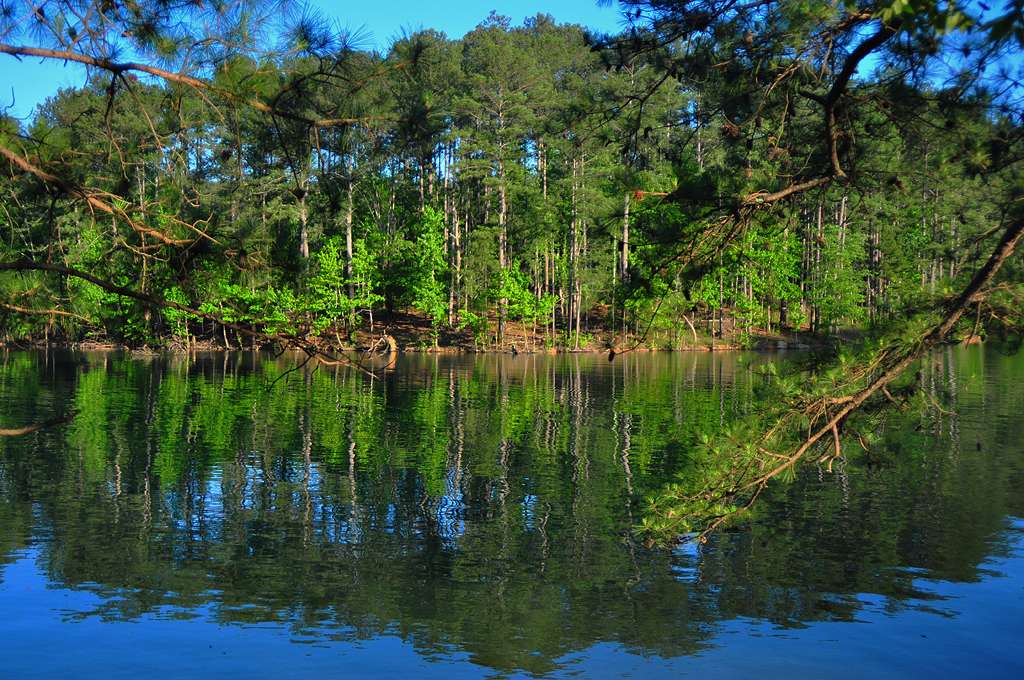 Red Top Mountain State Park Campground