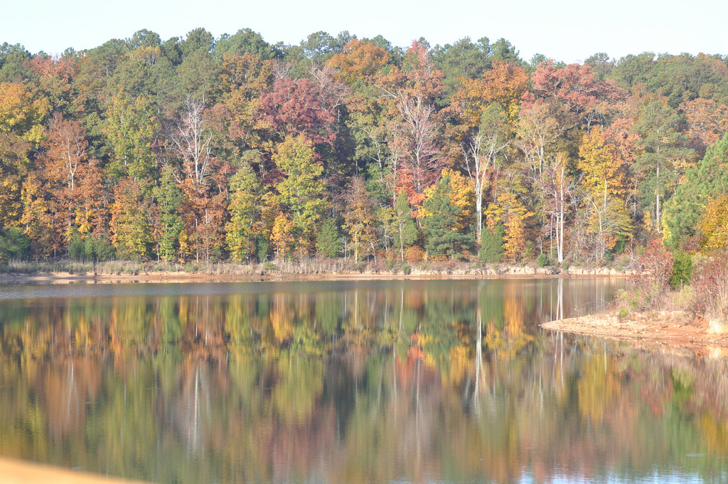 Richard B. Russell State Park Campground