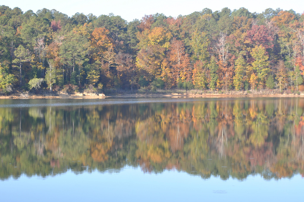 Richard B. Russell State Park Campground
